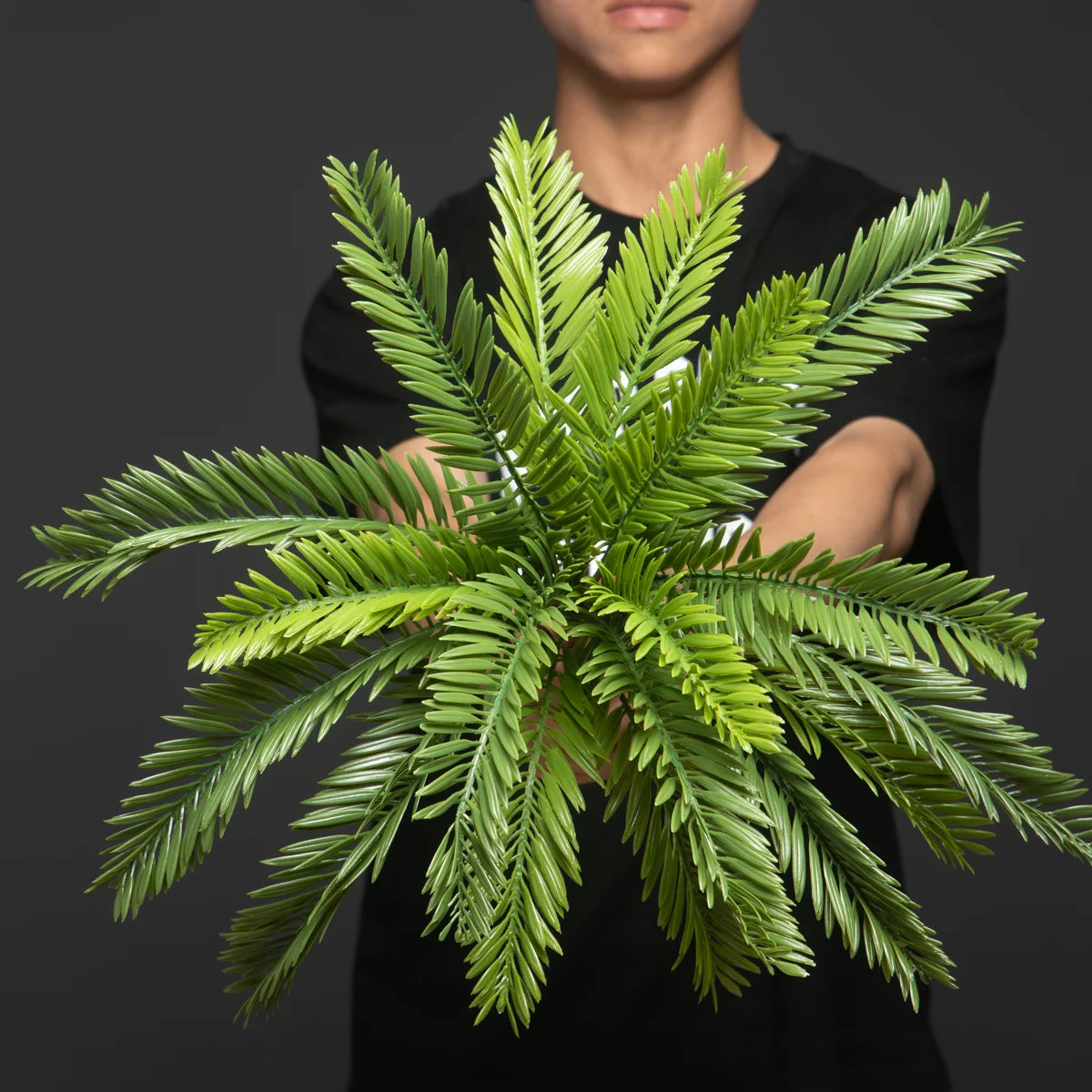 S4d6a041e6dc643bf8193a7dfb78e1167w