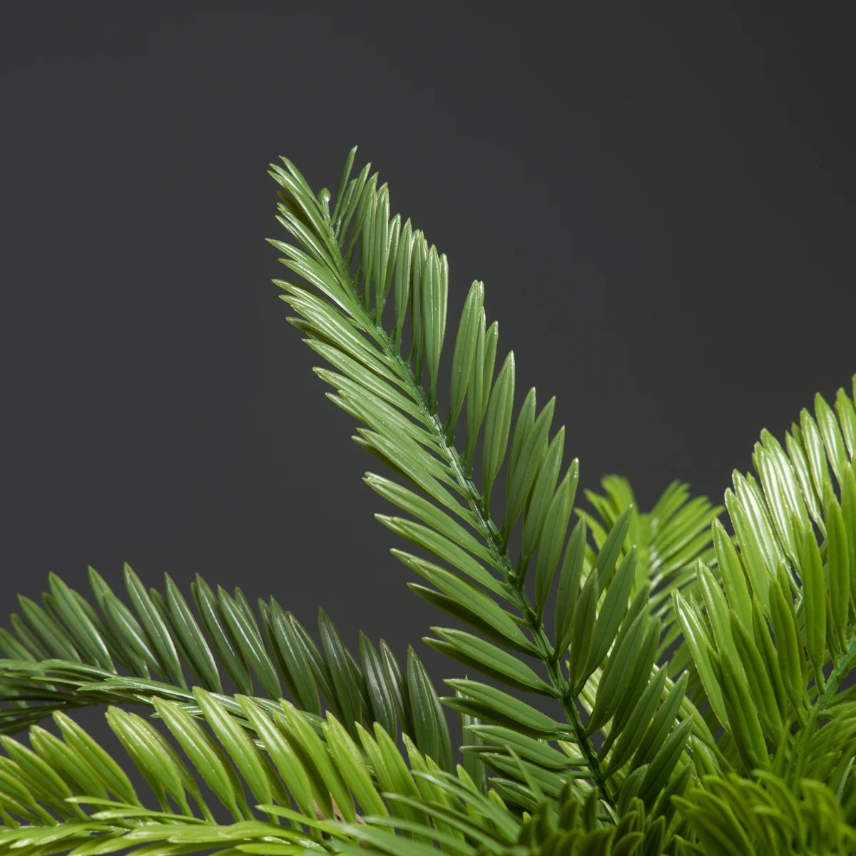 S8ace821622ce4f58a9889e63714dcabac